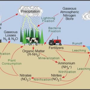 Study Time Treatment Plant (Discussion) – Tertiary Treatment ...